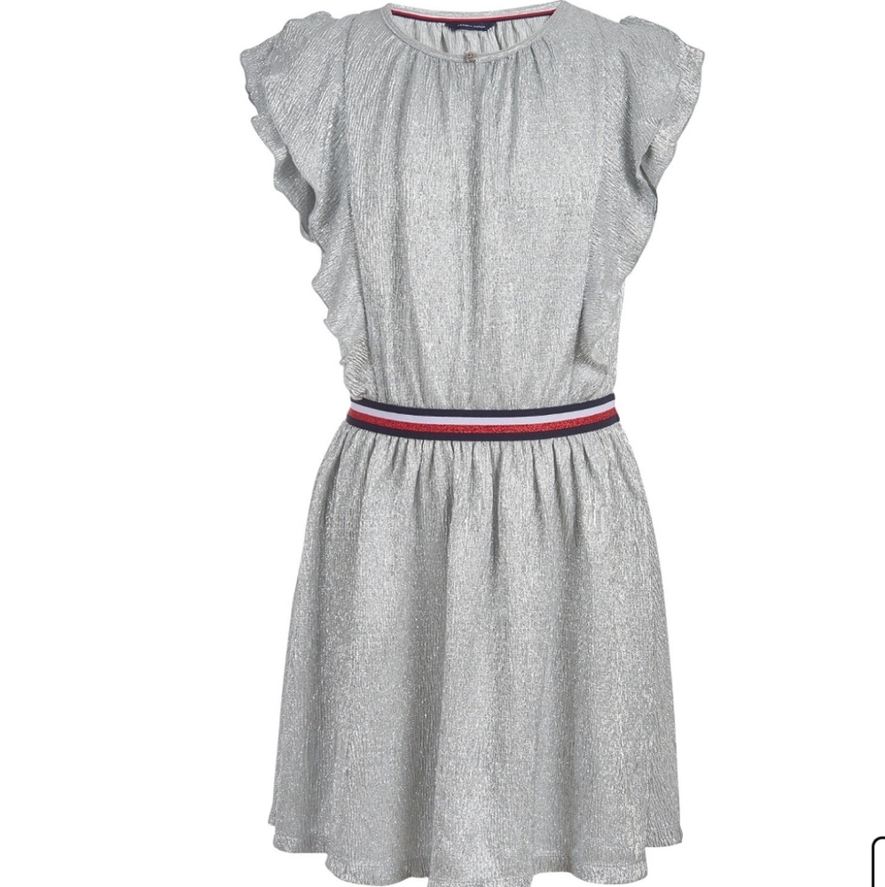 Tommy Hilfiger Girl's Kids Metallic Ruffle Dress